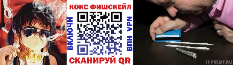 Купить где Николаевск-на-Амуре КОКАИН FishScale