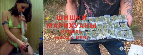 гидропоника Карпинск