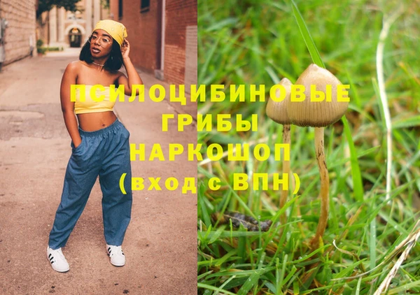 амф Касимов