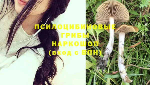 тгк Чегем