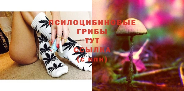 амф Касимов