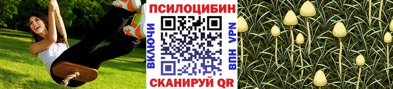 Галлюциногенные грибы мухоморы  Купить закладки  Николаевск-на-Амуре 